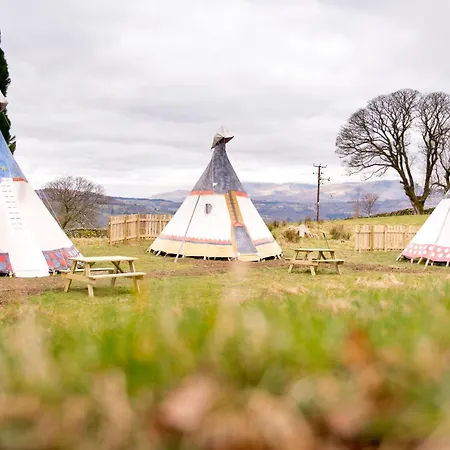 Yha Windermere بيت شباب *